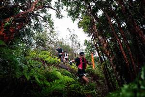 BIB: 
                            <button type="button" onclick="openModal(26202540)" class="btn btn-primary btn-sm float-right btn-popup" data-toggle="modal" data-target=".modal-high-quality">
                        <i class="fas fa-shopping-cart"></i> Add to Cart
                    </button>
                                            <button type="button" onclick="isThisMe(26202540, true)" class="btn btn-success btn-sm float-right btn-popup btn-isme hidden" data-toggle="tooltip" data-placement="bottom" title="นี่คือรูปของคุณใช่ไหม คลิกที่นี่เพื่อเอาเข้าอัลบั้ม">
                        <i class="fas fa-plus"></i> Add to album
                    </button>
                    <button type="button" onclick="isThisMe(26202540, false)" class="btn btn-warning btn-sm float-right btn-popup btn-isnotme hidden">
                        <i class="fas fa-ban"></i> Remove from album
                    </button>